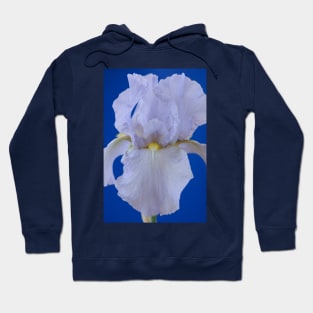 Bearded iris Hoodie